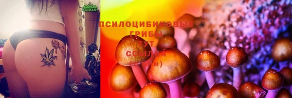 метамфетамин Алексин