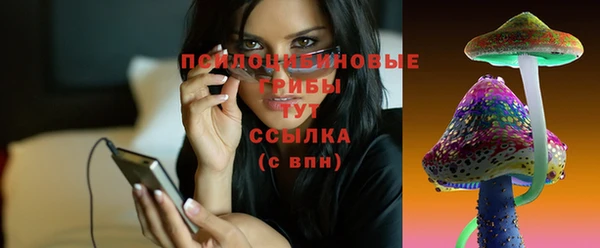 соль курить ск Алексеевка