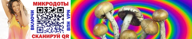 blacksprut ONION Ужур даркнет телеграм хочу Галлюциногенные грибы мицелий